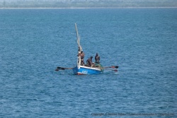 Depuis un bon moment déjà, depuis la jetée, on observe ce groupe de pêcheurs en pleine action