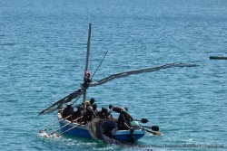 Pour se donner du courage, les pêcheurs entonnent un champ qui permet de ramer en cadence pour déposer le filet