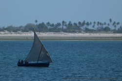 D'autres bateaux naviguent dans les parages avec leur élégante voile triangulaire déployée