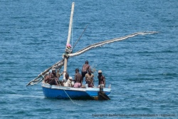 Les pêcheurs semblent satisfaits de leur manoeuvre, on espère qu'ils seront bien payés pour autant d'efforts fournis