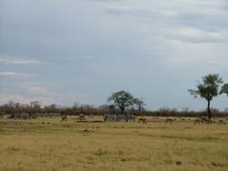 afs_2008_1109(006)