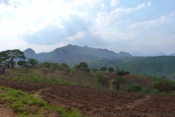 Nous sommes maintenant au coeur des montagnes, très cultivées