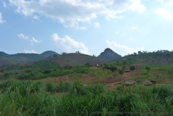 Le relief doucement vallonnée semble propice à la culture