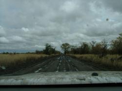 afs_2008_1109(006)