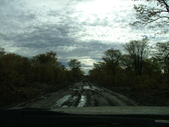 afs_2008_1109(006)