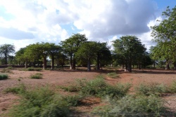 Les paysages montagneux laissent la place à une région plus aride et plus plane