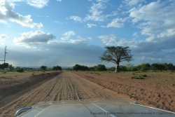 Enfin, nous retrouvons les pistes d'Afrique australe