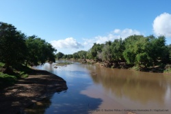 Une belle rivière bordée par de grands arbres