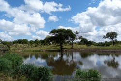 Joli effet miroir sur un bras calme de la rivière
