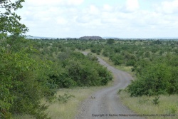 Paysages du nord du Kruger