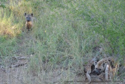 afrique-sud_2013_0501-170203,