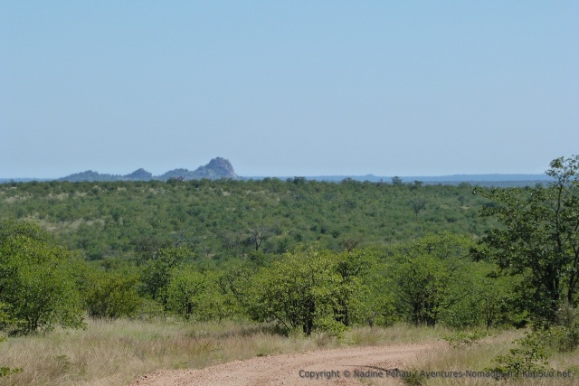 Le Kruger est également très intéressant pour la variété de ses paysages