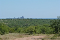 Le Kruger est également très intéressant pour la variété de ses paysages