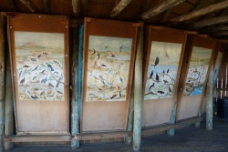 Un affût pour observer les oiseaux présente toutes les espèces qu'on peut voir
