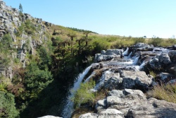 Encore de très jolies chutes à la végétation luxuriante près du Pinnacle