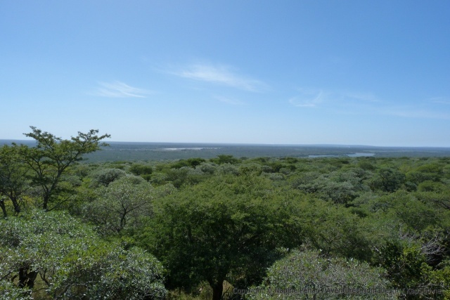 A quelques kilomètres à vol d'oiseau, le Mozambique voisin