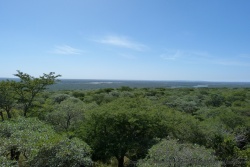A quelques kilomètres à vol d'oiseau, le Mozambique voisin