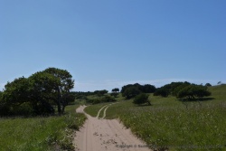 La piste serpente dans de superbes paysages de dunes verdoyantes