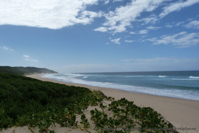 De temps en temps la piste déboucvhe sur de magnifiques plages complètement sauvages