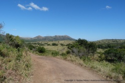 Très beaux paysages de la réserve de  Hluhluwe-Umfolozi 