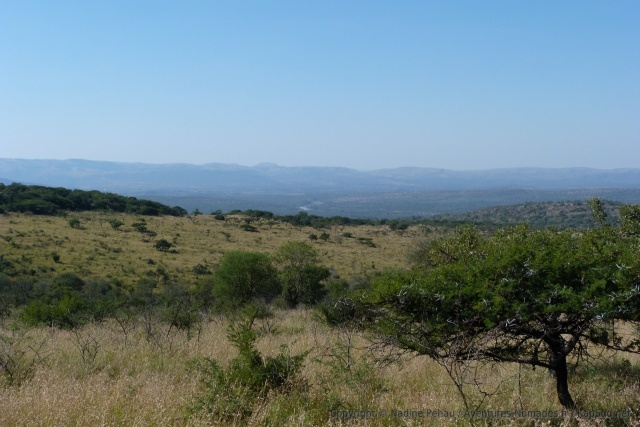 Même si on aperçoit peu d'animaux, les panoramas sont vraiment très beaux