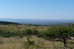 Même si on aperçoit peu d'animaux, les panoramas sont vraiment très beaux