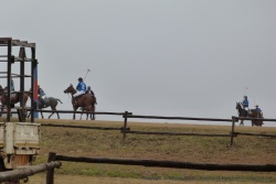 Partie de polo dominicale