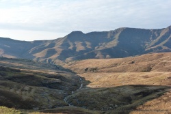 Les paysages de moindre altitude sont tout aussi magnifiques
