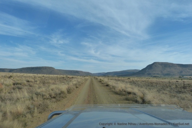 Paysage typique du Karoo