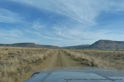 Paysage typique du Karoo