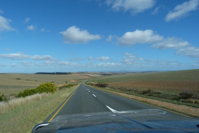 La route traverse la campagne de l'Overberg à l'agriculture extensive