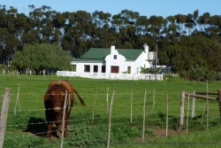 Scène typique de la campagne de l'Overberg