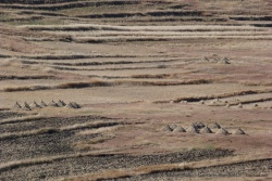 Le résultat de l'activité agricole est particulièrement graphique
