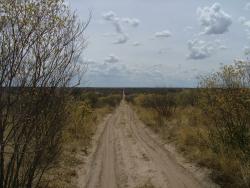 afs_2008_1113(032)
