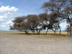 afs_2008_1113(032)