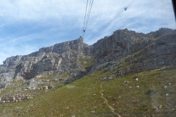 Heureusement pour nous, aujourd'hui le téléphérique pour monter à la Table Mountain est opérationnel