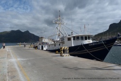 Le port de Hout Bay compte pas mal de gros bateaux de pêche