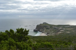 Jolie crique isolée à Cape Point
