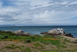 La côte sauvage près de Hermanus