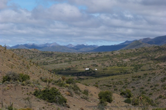 Dans la région aride du Karoo, de temps en temps une ferme se laisse apercevoir