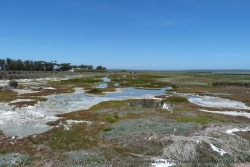 L'alternance de marais et de prairies d'herbe confère une atmosphère très particulière aux lieux