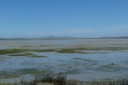 Le West Coast NP avec ses lacs et ses lagunes mérite le déplacement