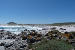 La variété des paysages offerts par le West Coast NP est impressionnante