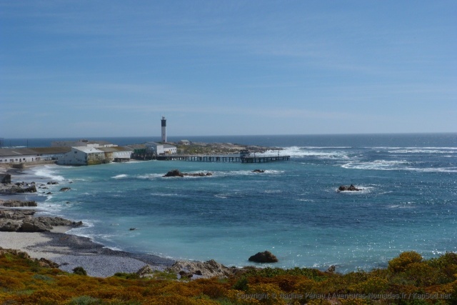 Lambert's Bay plus industrieuse que sa voisine Paternoster