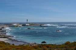 Lambert's Bay plus industrieuse que sa voisine Paternoster