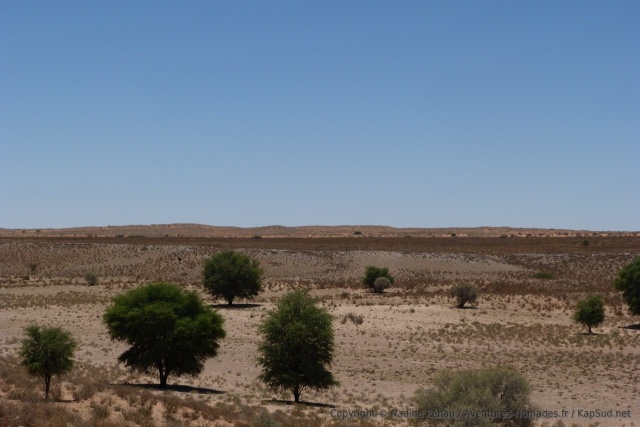 Les arbres confirment la présence d'une rivière asséchée