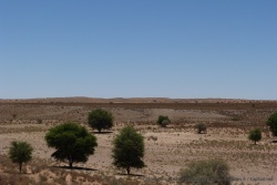 Les arbres confirment la présence d'une rivière asséchée