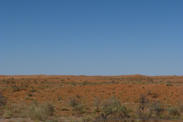 Dans le Kgalagadi Transfrontier Park, on peut admirer de superbes étendues de dunes ocres