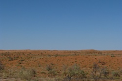 Dans le Kgalagadi Transfrontier Park, on peut admirer de superbes étendues de dunes ocres