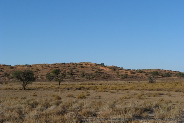 Le Kgalagadi réserve de très beaux panoramas